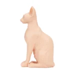Silicone Cat Practice Model for Tattoo Artists – Image 6