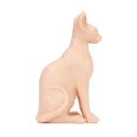 Silicone Cat Practice Model for Tattoo Artists – Image 4